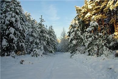 《符文工房：龙之天地》1.0.5版更新 提供多处修复